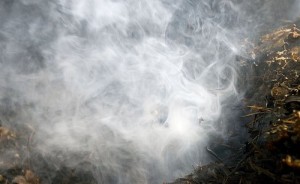 Bankruptcy Information Shrouded in Myth
